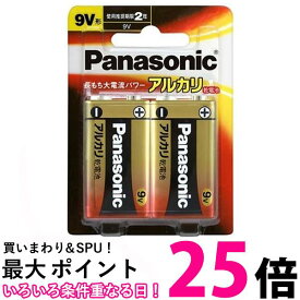 パナソニック LR61XJ/2B アルカリ乾電池9V形 2本パック 乾電池 送料無料 【SK00707】