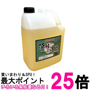 VZC ͂ꎟY 5L _knp   ߃^Cv SHINSEI  ySK00894z