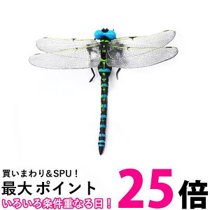 �I�j�����} ���ɂ��� ������ �u���[ �t�B�M���A �g���{ ���� �A�E�g�h�A �L�����v �Q�� �X�g���b�v �I���� (�Ǘ�S) �������� �ySK01650�z