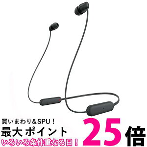 �\�j�[ WI-C100 BZ ���C�����X�X�e���I�w�b�h�Z�b�g �u���b�N �l�b�N�o���h�C���z�� �u���[�g�D�[�X�C���z�� SONY �������� �ySK01723�z