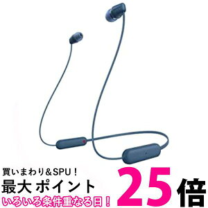 �\�j�[ WI-C100 LZ ���C�����X�X�e���I�w�b�h�Z�b�g �u���[ �l�b�N�o���h�C���z�� �u���[�g�D�[�X�C���z�� SONY �������� �ySK01967�z