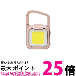 TV WRC-21DP [d ҂ MINI LIGHT _XeBsN  ySK02337z