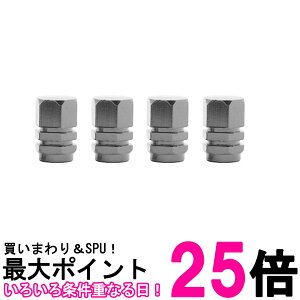 ^C GAouLbv 4Zbg GA[ou Jo[   ^C A~ Zp hXAbv Vo[ (ǗS)  ySK03050z