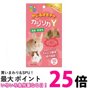 nCybg JWJY 邨 10 nX^[ ETM t[h  ySK03158z