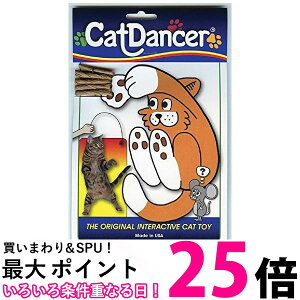 Lbg_T[ L炵 Lp Cat Danser  ySK04400z