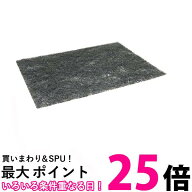 パナソニック 浴室暖房換気乾燥機用フィルター FSE251K001 防カビ対応フィルター Panasonic 送料無料 【S…