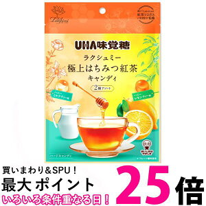 UHAo ɏ݂͂gLfB 2A\[g 75g  ySK04599z