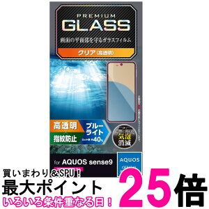 GR PM-S244FLGGBL AQUOS sense9 KXtB u[CgJbg 10H tی wh~ Uh~݌v  ySK05285z