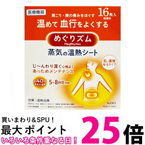 ԉ ߂Y C̉MV[g 16  ySK05303z