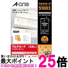 エーワン 51003 マルチカード 名刺 各種プリンタ兼用紙 A4判 10面 送料無料 【SK05374】