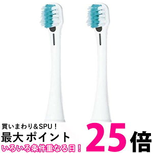 �p�i�\�j�b�N EW0913-W �C�I���p���W�ɍזуu���V �� 2�{�� �C�I���Ή��h���c��p Panasonic �������� �ySK06721�z