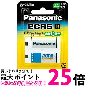 Panasonic 2CR-5W pi\jbN 2CR5W J p `E 6V 1  ySJ07053z