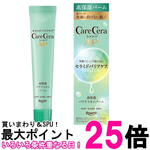 [g PAZ AP ێoAXLo[ 24g  ySK07633z