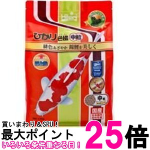 L[ qJ ЂFg  1.2kg ̉a  ySK07771z