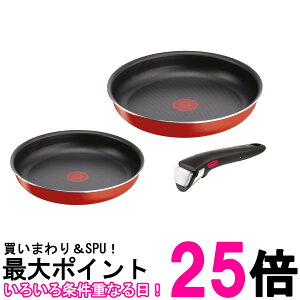 eBt@[ L15193 pvJbh CWjIElI ̂Ƃ tCp 3_Zbg KXΐp 22cm 26cm T-fal  ySK08175z