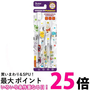 XP[^[ TBCR6T-A NA uV 3{ |P23N wp Skater  ySK09584z