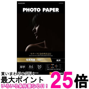 GR EJK-PROA450 zCg ʐ^p v^[p 50   CNWFbgp A4TCY TNo:D313  ySK09619z
