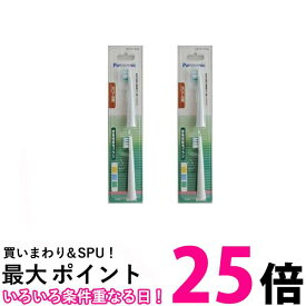 2個セットパナソニック EW0971-W スリム用密集極細毛ブラシ 白 2本入 音波振動ハブラシ ドルツ EW-DM61 替えブラシ 送料無料 【SK09749】