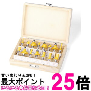 g}[rbgZbg d[^[Zbg 15{g a6.35mm ؐ[{bNXt (ǗS)  ySK10211z