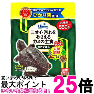 L[ qJ Ђ JvX 550g T̃GT  ySK10461z