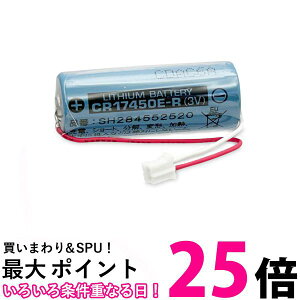 pi\jbN i SH284552520 CR-AG/C25P΍Ќxpdr Panasonic  ySK10556z
