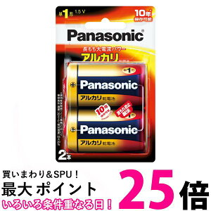 �p�i�\�j�b�N LR20XJ2B �P1�`�A���J�����d�r 2�{�p�b�N Panasonic �������� �ySK11640�z