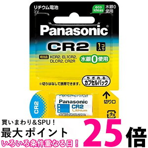 �p�i�\�j�b�N CR-2W �J�����p���`�E���d�r Panasonic �������� �ySK12264�z