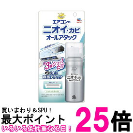 アース らくハピ エアコンのニオイ・カビ オールアタック 110ml エアコン 消臭 防カビ ワンプッシュ 空間 消臭スプレー 送料無料 【SK13909】