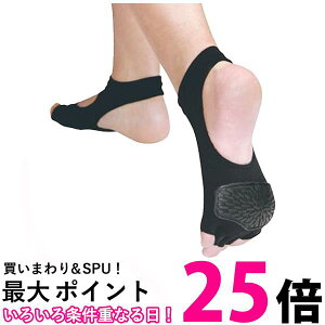 IJ AQA-1L AQA1L ANA v[GNTTCYpT|[^[ LTCY ubN ANAV[Y v[ ^ AQUARUN  ySK14581z