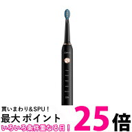 電動歯ブラシ 歯ブラシ 本体 替えブラシ 8本 口内ケア 歯磨き USB充電式 IPX7防水 (管理S) 送料無料 【SK…