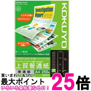 RN KJ-P19A4-250 CNWFbgv^p ㎿ʎ Rs[p A4 250 KOKUYO  ySK16242z