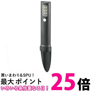 I[d@ LS-B80GS-3 06-4106 yɂĎgLEDK[fCg  lZT[ 80[ dr F OHM  ySK16354z