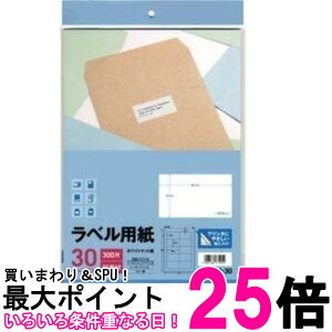 G[ xp L10A-30 10 30V[g A4  ySK17016z