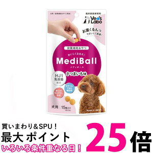 fB{[ p ܂ 15 Medi Ball  ySK18325z