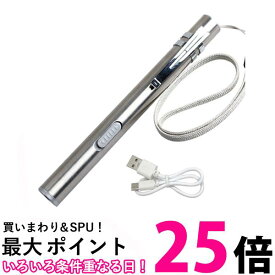 ペンライト LED コンパクト 軽量 小型 充電式 USB 明るい 懐中電灯 防災 シルバー (管理S) 送料無料 【SK19020】