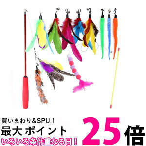 L炵 12_Zbg Lpi Lp ˂炵 ނ H  Lт Ȃ₩ ^s (ǗS)  ySK19474z