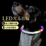 犬 猫 光る 首輪 LEDライト レインボー 夜間 ペット 散歩 ライト USB 充電 小型犬 中型犬 大型犬 (管理S)…