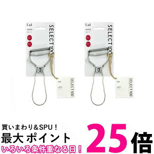 L DH-3000 2Zbg SELECT 100 T^s[[ Kai Corporation  ySK20089z