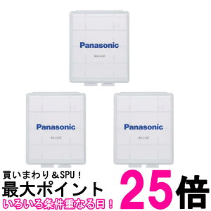 3Zbg pi\jbN BQ-CASE/1 drP[X [ddr P3E4`p Panasonic  ySK20293z