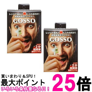 2�Z�b�g �S�b�\ �u���W���A�����b�N�X 10�� �@�ђE�уZ�b�g ���@ GOSSO �������� �ySK20313�z