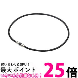 10個セット ファイテン ネックレス RAKUWA磁気チタンネックレス メタルブラック 45cm 送料無料 【SK22363】