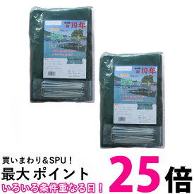 2個セット 防草シート 高密度 300G 1m×10m U型ピン20個セット 耐年数10年 頑丈 (管理S) 送料無料 【SK22770】