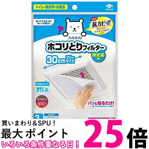 10Zbg mA~ pbƓ\邾! zRƂtB^[ Cp 30cm×30cm 3  ySK22954z