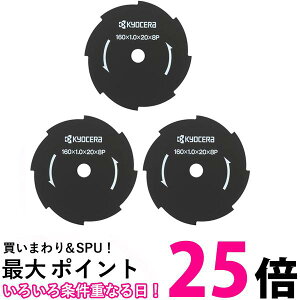 3Zbg [r 6730141 8n @p 160×20mm RYOBI  ySK23248z