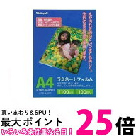 2個セット ナカバヤシ LPR-A4E2 ラミネートフィルム 100枚入 216×303mm A4 NAKABAYASHI 送料無料 【SK23…