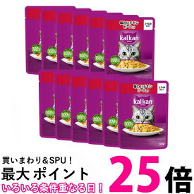 12個セット カルカン パウチ 味わいチキン ビーフ入り 60g ペットフード 猫 キャットフード ウェット 送料無料 【SK25529】