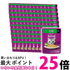 120個セット カルカン パウチ まぐろ 60g キャットフード 成猫用 ウェットフード 送料無料 【SK25530】