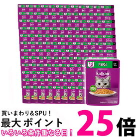 120個セット カルカン パウチ 15歳から まぐろ 60g ペットフード 猫 キャットフード ウェット 送料無料 【SK25550】