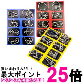 知恵の輪 8点x3セット 玩具 知育 脳トレ パズル ゲーム ミステリー リング 手遊び おもちゃ 謎解き 選べる難易度 (管理S) 送料無料 【SK25851】