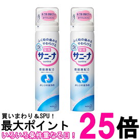 2個セット 花王 薬用 泡サニーナ 70g 送料無料 【SK26249】